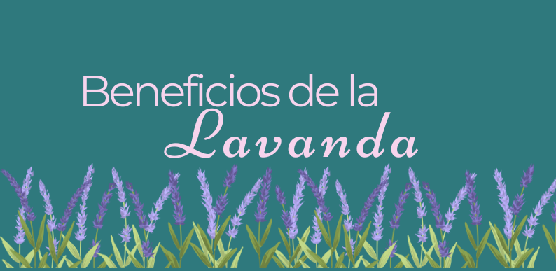 Beneficios de la Lavanda